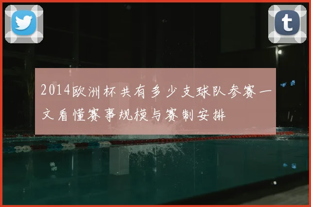 2014欧洲杯共有多少支球队参赛一文看懂赛事规模与赛制安排